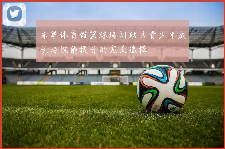 东单体育馆篮球培训助力青少年成长与技能提升的完美选择